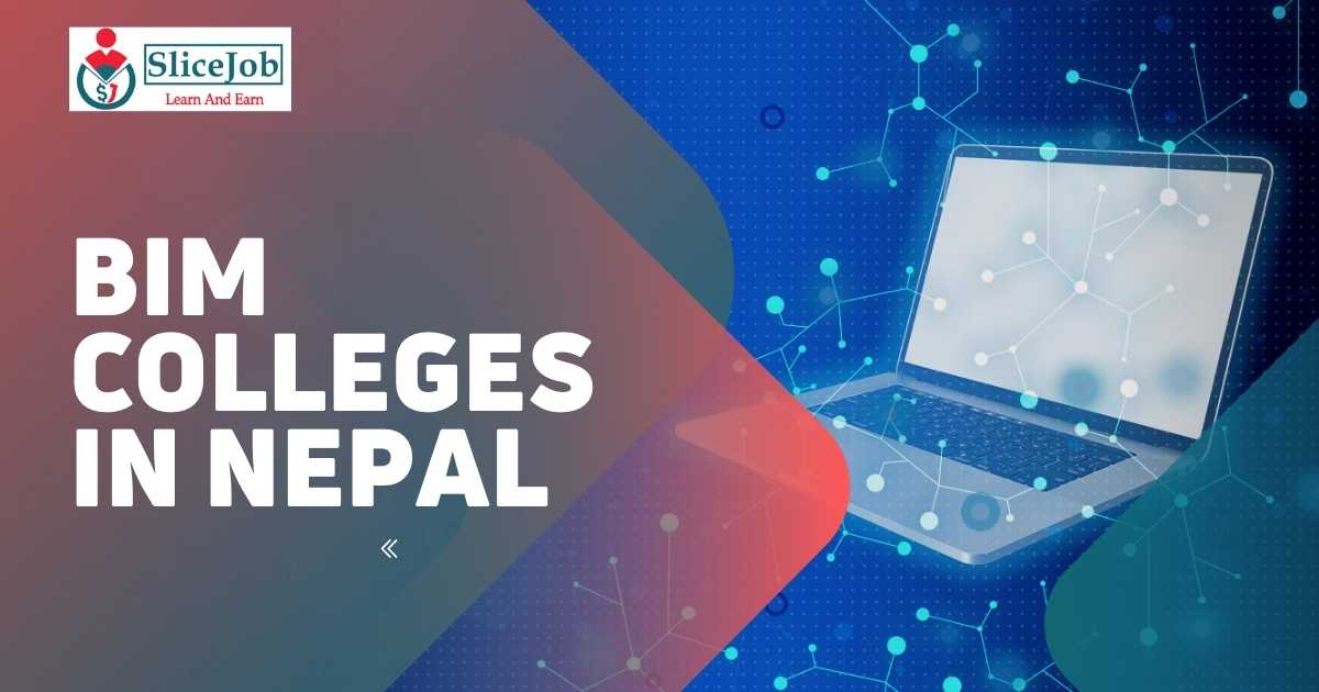 BIM colleges in Nepal