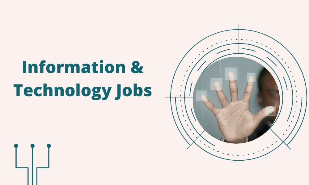 Information Technology (IT) 